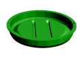 kameleon 600.png